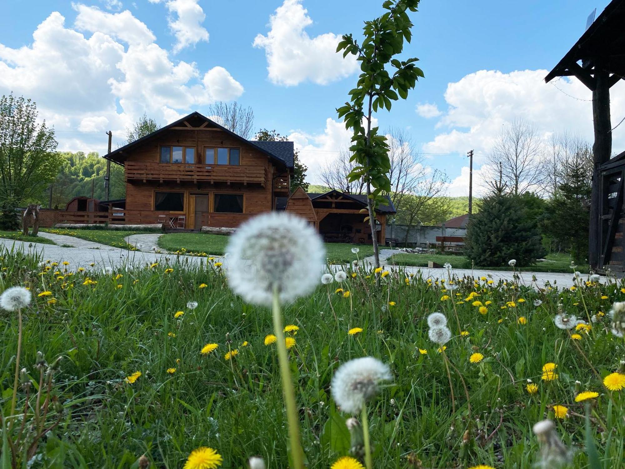 La Cabane Rasnov Exterior photo